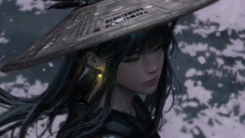 老猫
