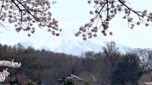 富士山