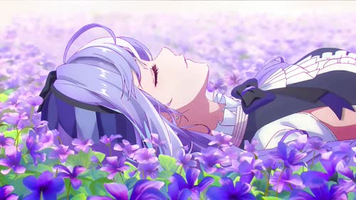 薇薇安花海