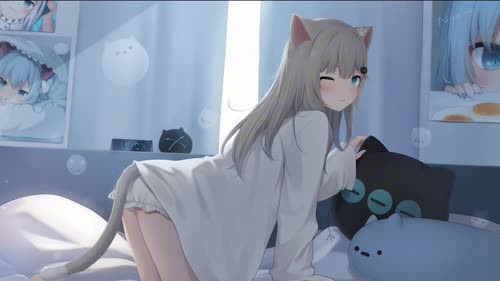 猫猫