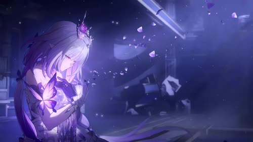抖音老猫