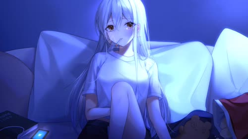 老猫
