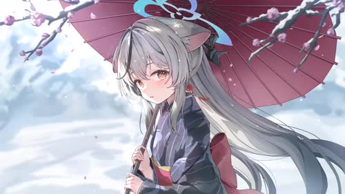 老猫