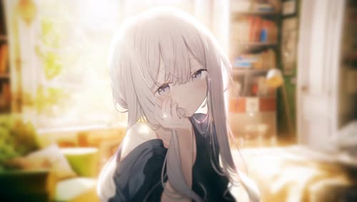 老猫