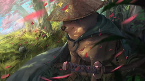 老猫