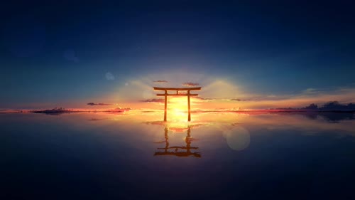 老猫
