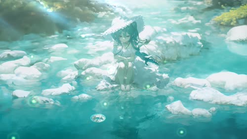 老猫