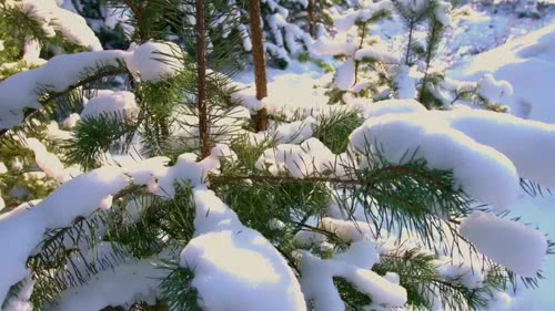 雪景e